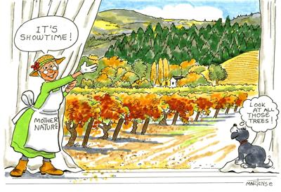 Cartoon Comment