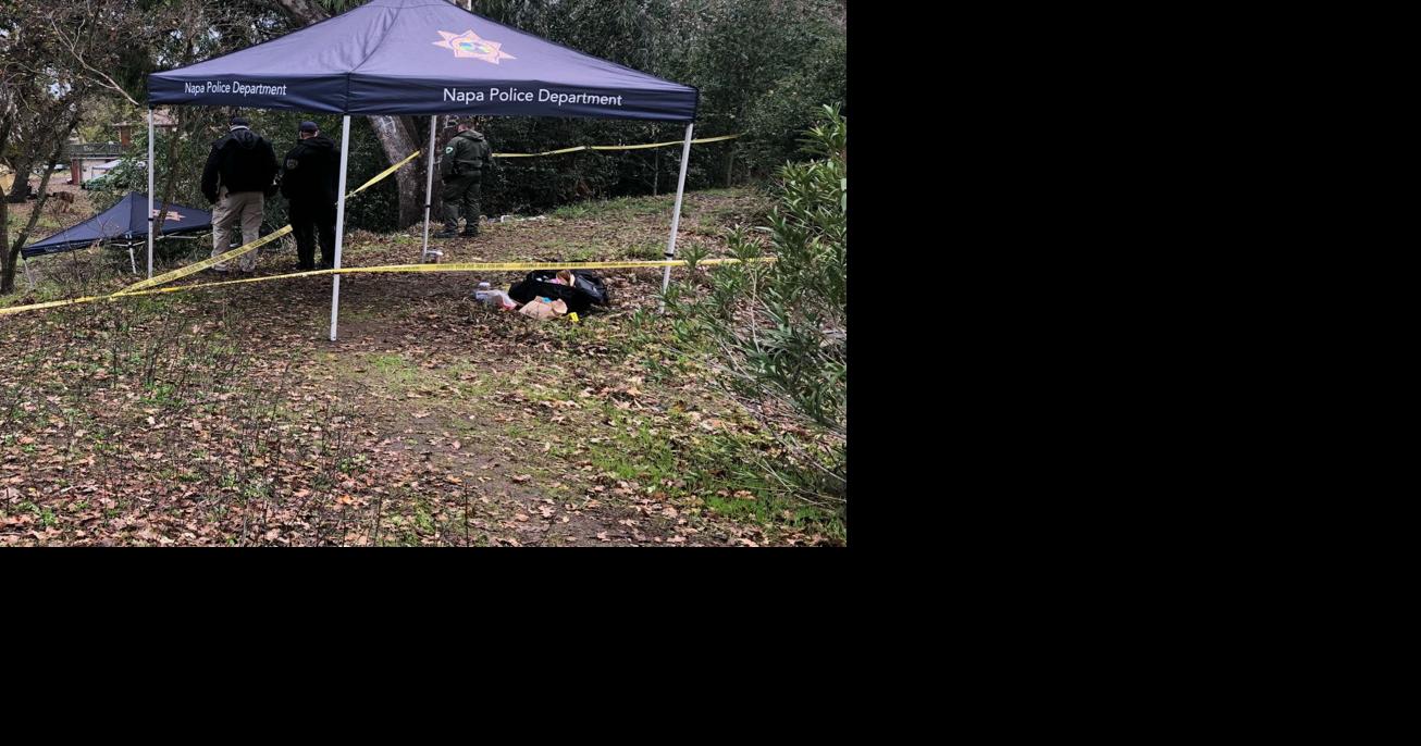 Assault suspect killed in Napa police-involved shooting; father says