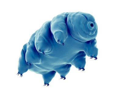 When labs clash over tardigrade DNA, that's just science working as it should
