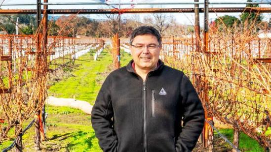 Global warming challenges Napa Valley grapegrowers to find answers - Napa Valley Register