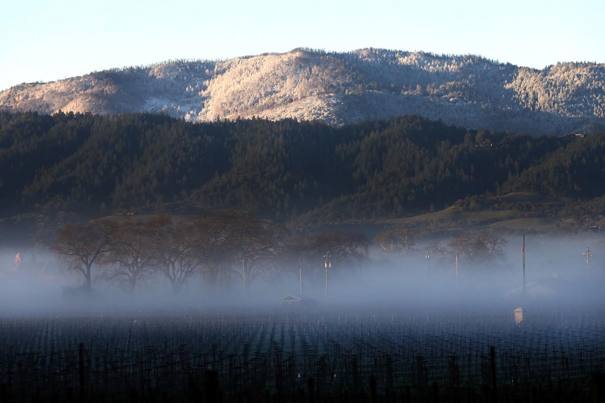 Photos Snow in Napa Valley Local News