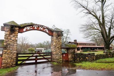 Aetna Springs 1