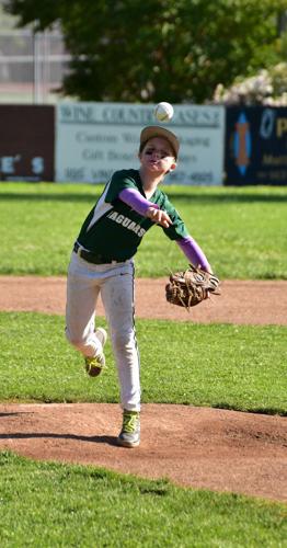 Rays use early offense to outlast Tigers 10-6