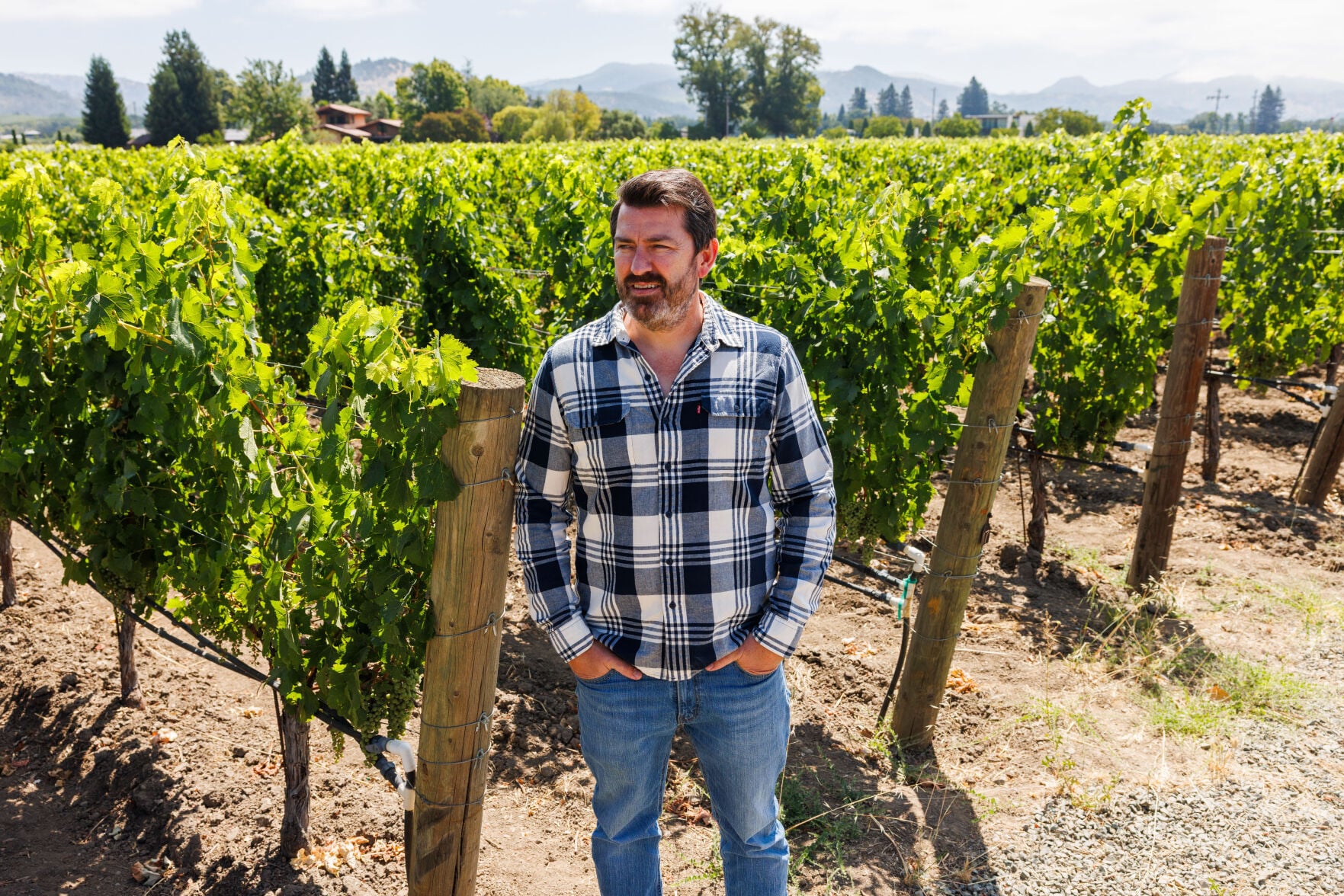 At Sullivan Rutherford Estate, Merlot takes center stage