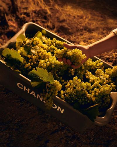 Chandon Sparkling Wine: French Heritage Meets New World Innovation
