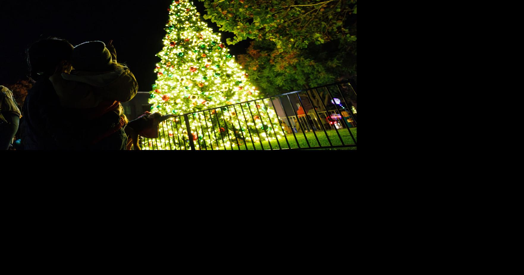 Napa Tree Lighting Ceremony 7