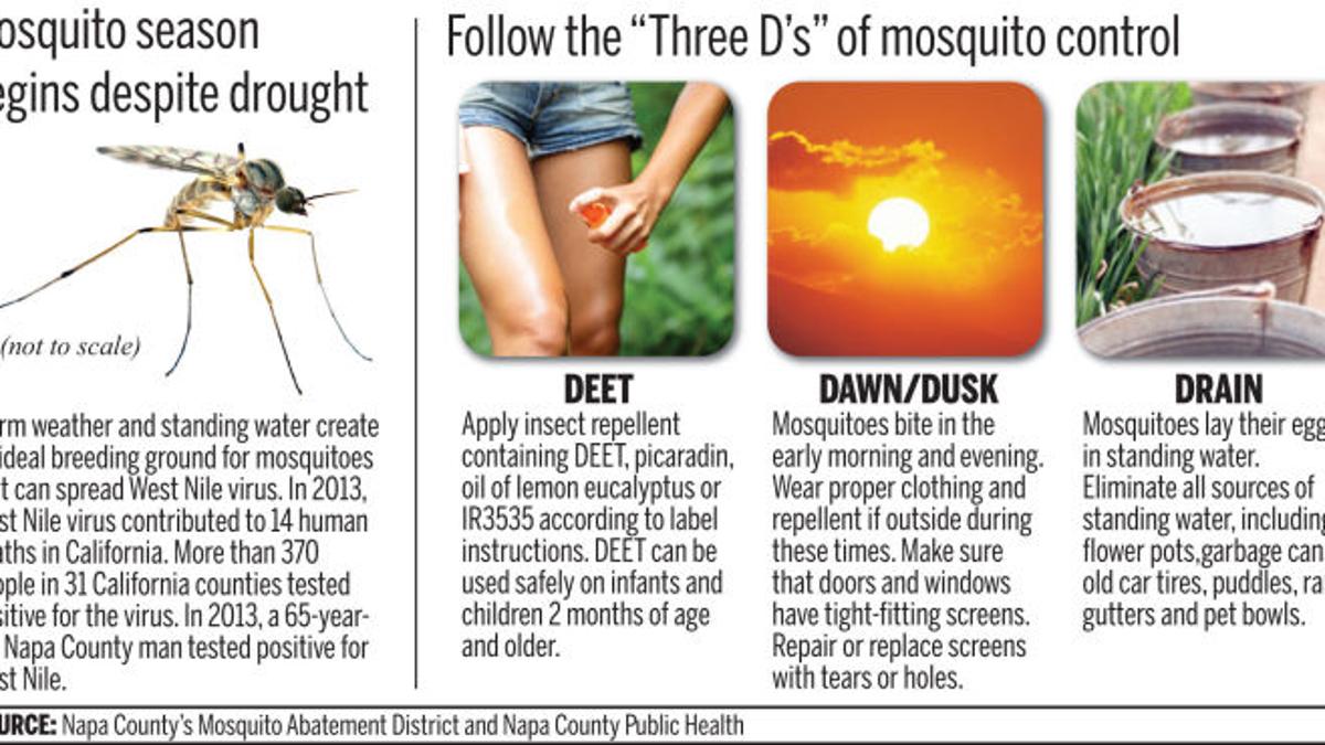 drain mosquitoes