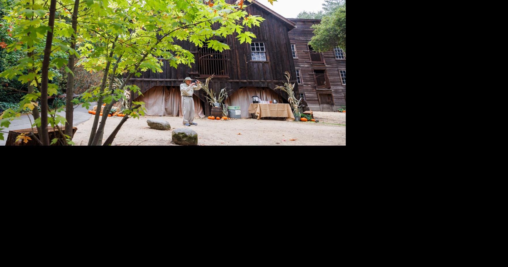 Harvest dinner to support Bale Grist Mill Restoration Campaign