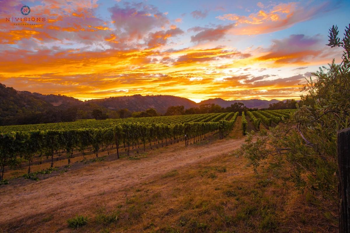 Photo Napa Valley S Natural Beauty In 86 Photos Local