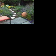 Sheet mulching your lawn - Vimarsana News