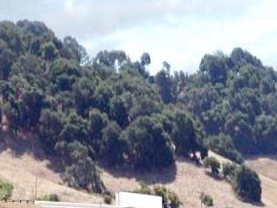 Proposed Bay Area Bridge Toll Hikes Could Benefit Napa County Projects Local News Napavalleyregister Com
