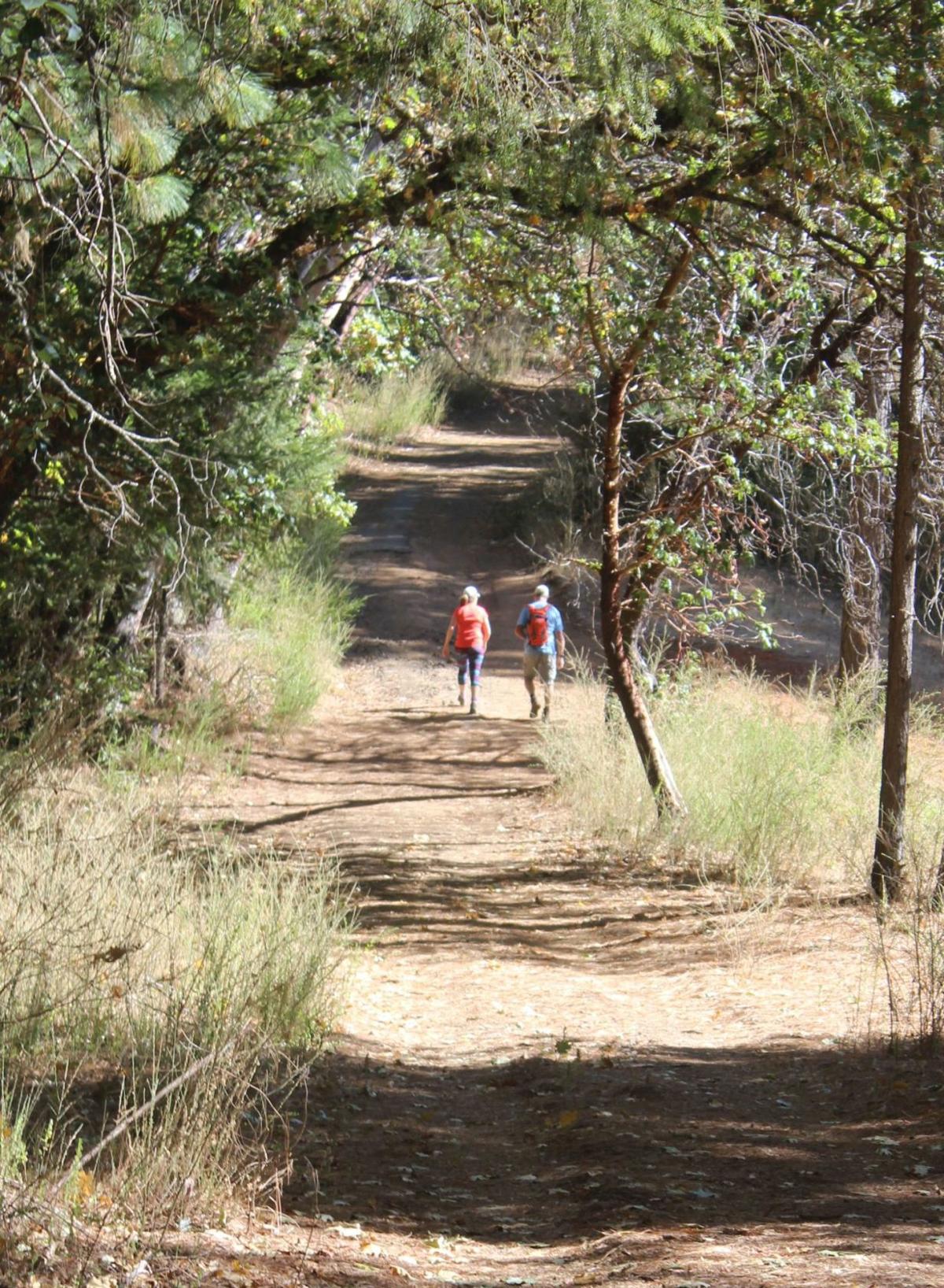 Officials In Angwin Celebrate Opening Of Pacific Union College S Forest Trails To Public News Napavalleyregister Com