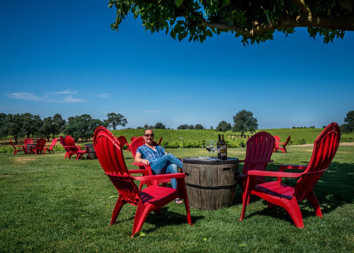 Lodi Rising The Region S Wines Are Taking Off And The World Is Watching Wine Napavalleyregister Com