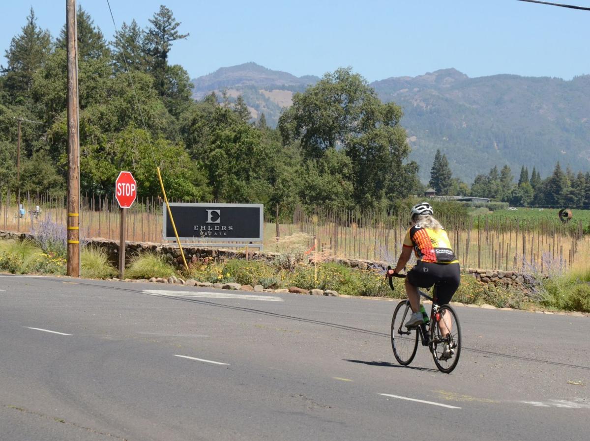 Vine Trail proposed crossing
