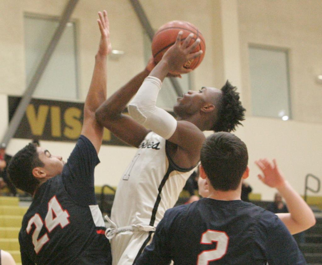 American Canyon Boys Basketball Outlook Wolves Talented And