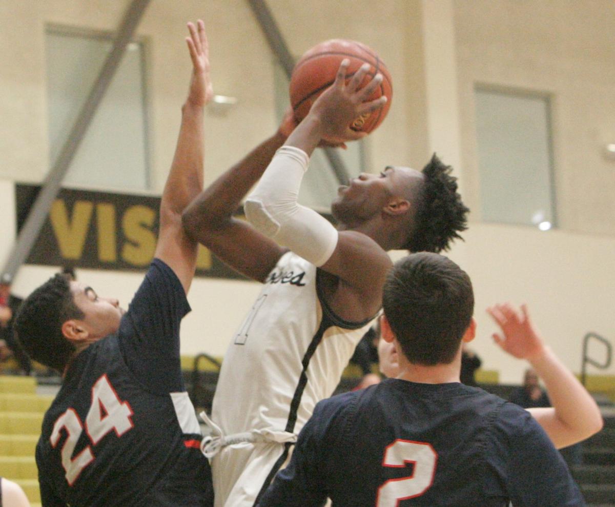 American Canyon Boys Basketball Outlook Wolves Talented And