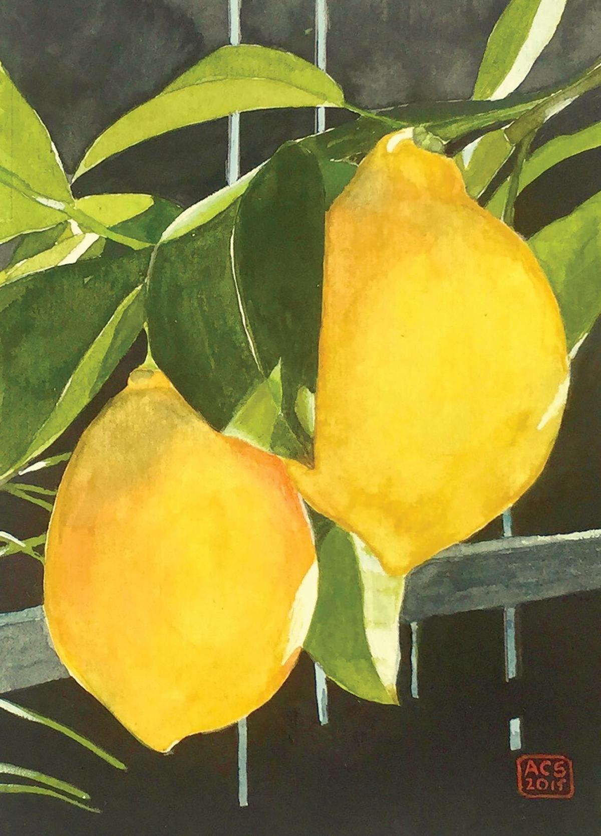 Let There Be Lemons Italian Lessons Napavalleyregister Com