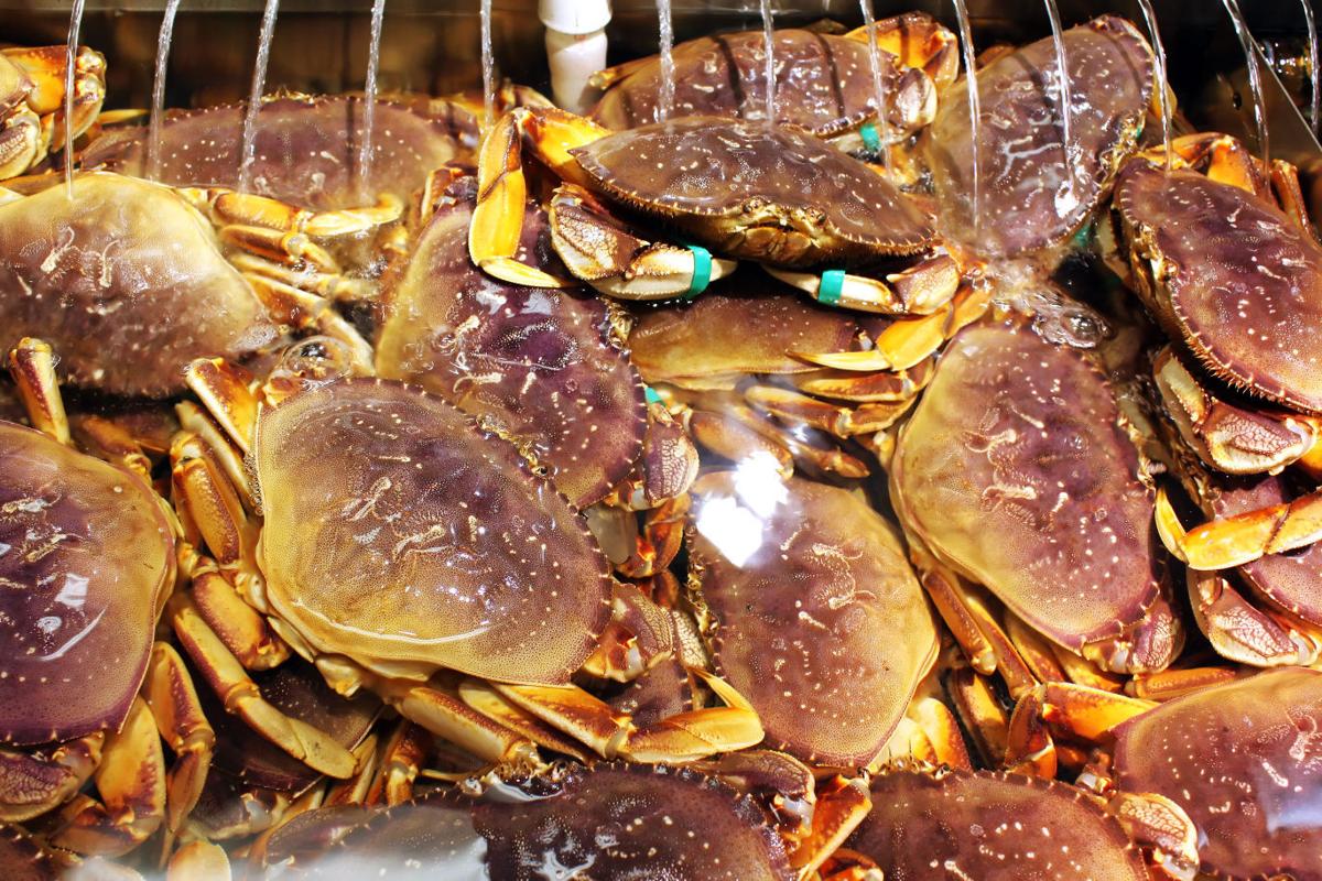 Update High toxin level delays California crab season