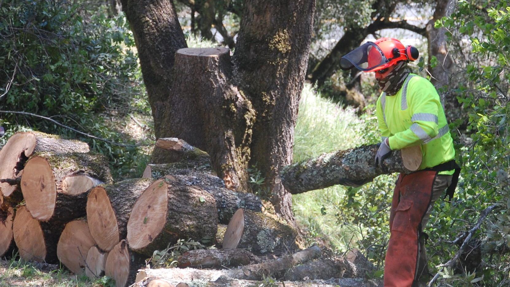 Napa County's wildfire control effort begins at rural Circle Oaks - Vimarsana News