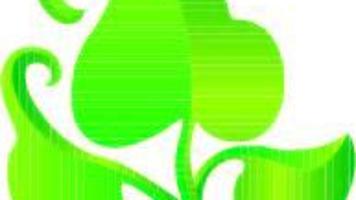 Grasp Gardeners of Napa County” Black historical past and gardening | Grasp Gardener