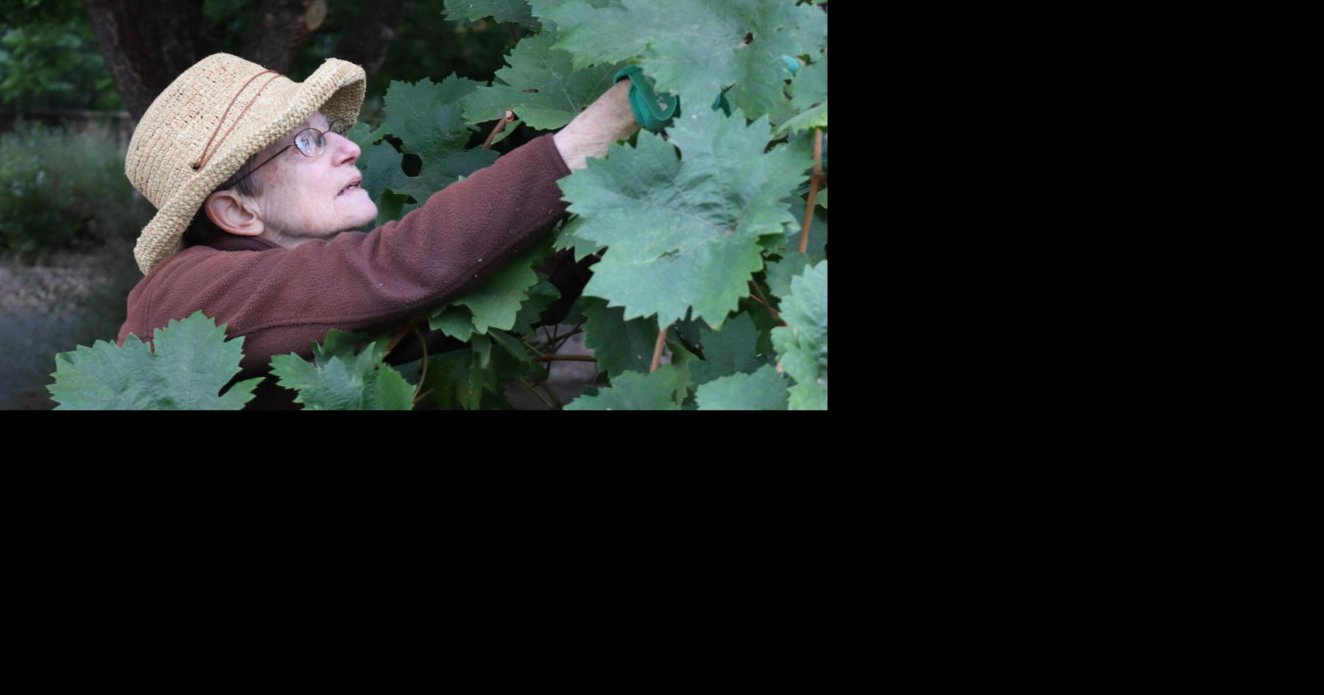 Aging boldly: Rianda House Winemakers redefine retirement | News ...