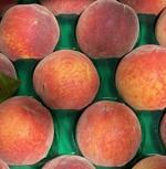 Bella Farm Peaches