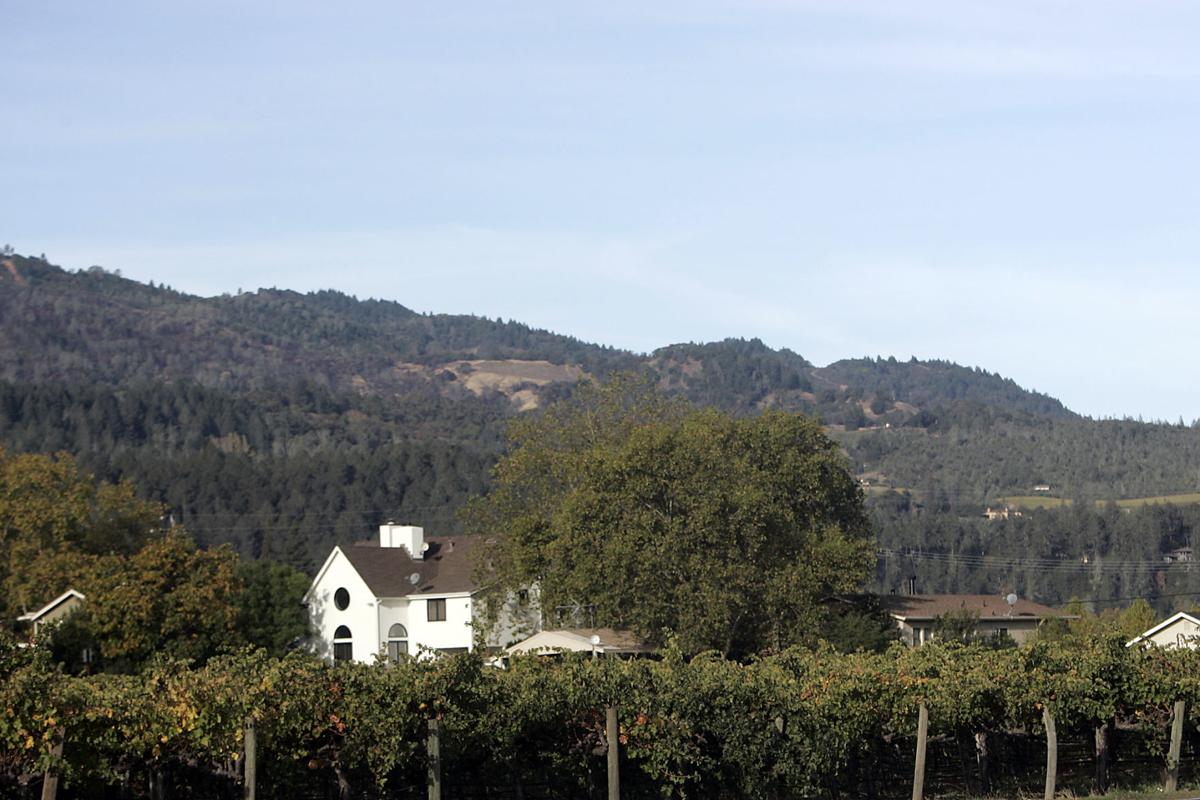 Agriculture Mansions
