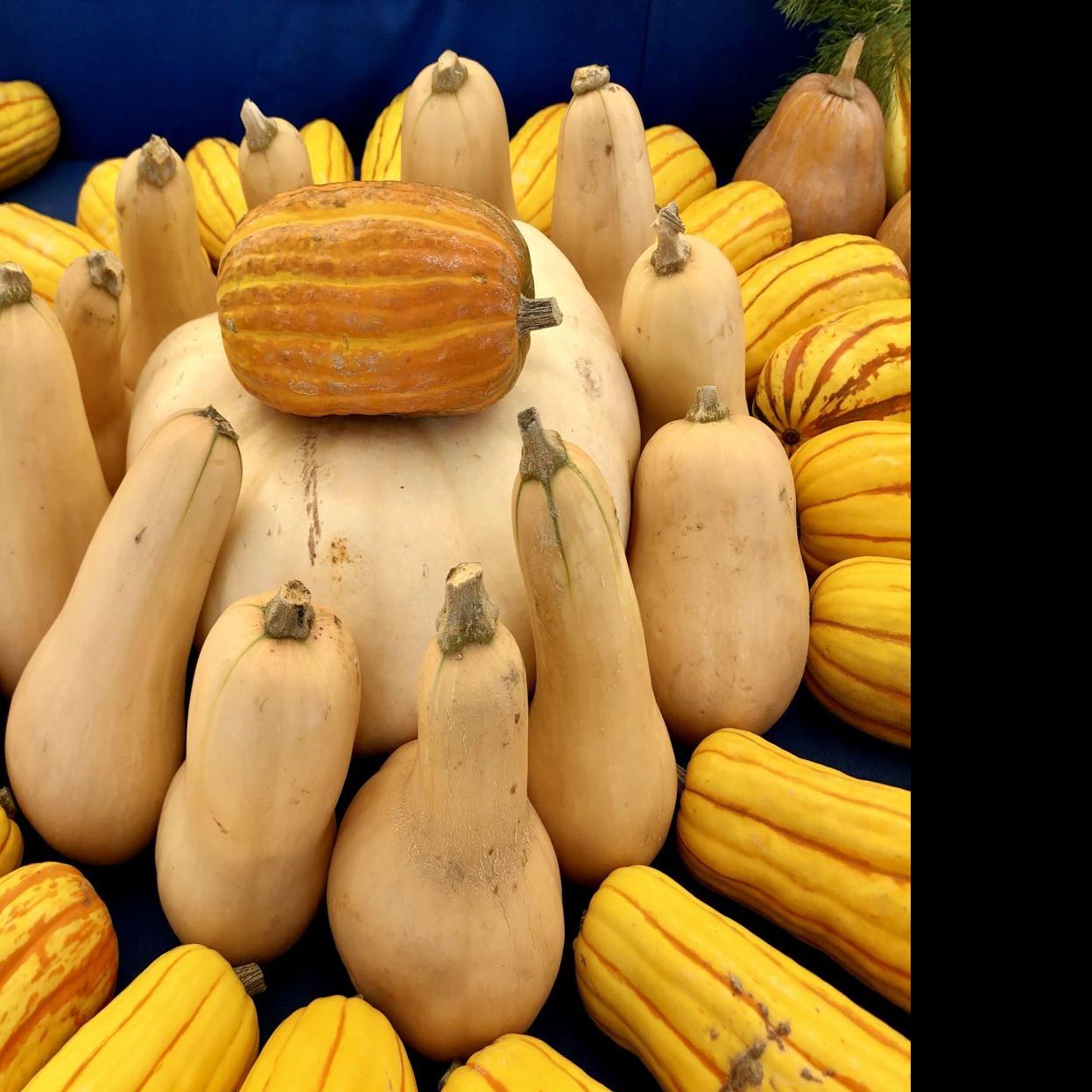 Napa Farmers Market Resolutions Made Easy Start With The Squash Food Napavalleyregister Com