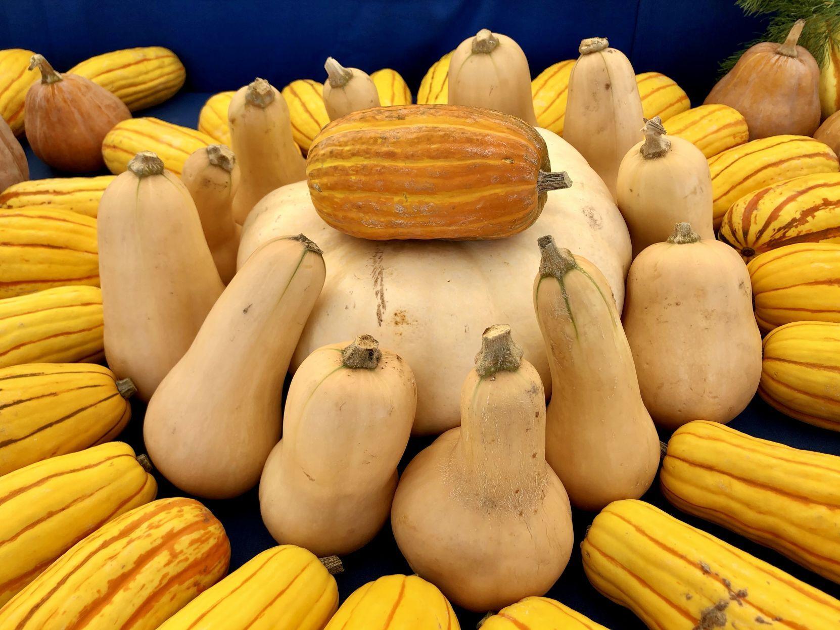 Napa Farmers Market Resolutions Made Easy Start With The Squash Food Napavalleyregister Com