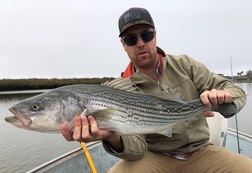 The Napa Valley Fishing Report: Be patient if using live jumbo