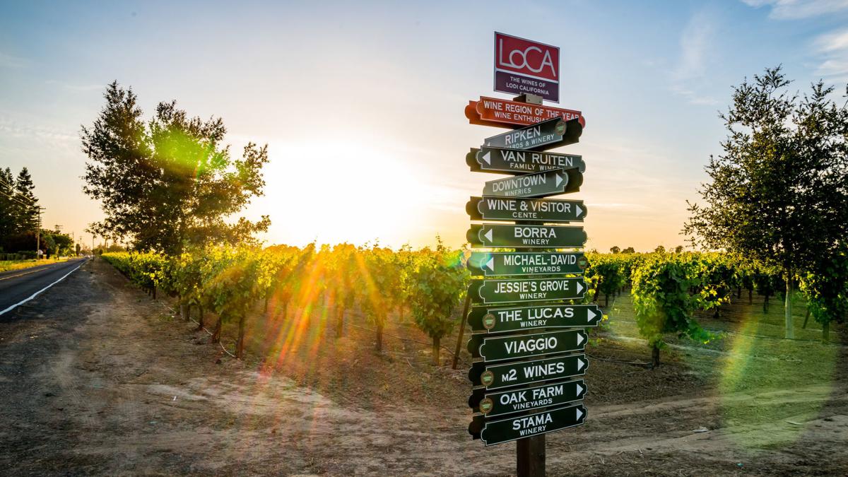 Lodi rising The region's wines are taking off and the world is