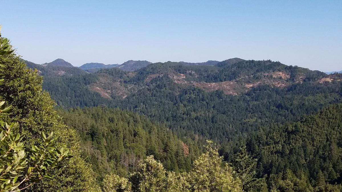 Montelsol Ranch