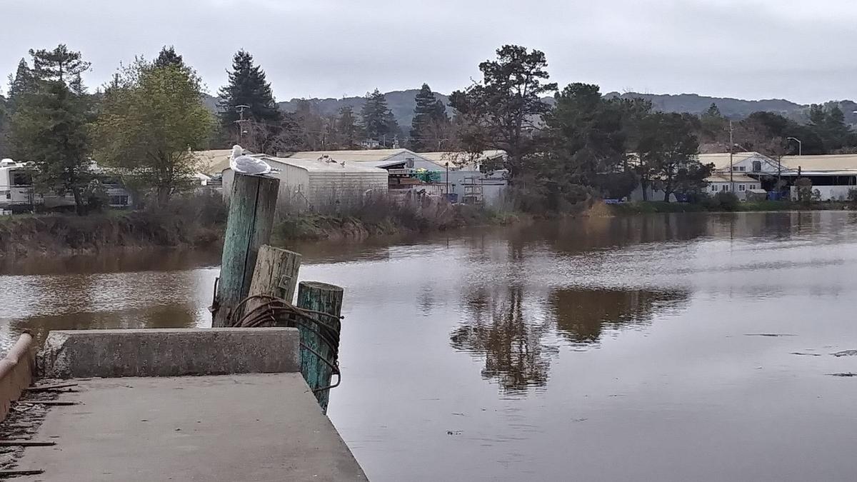 Petaluma River