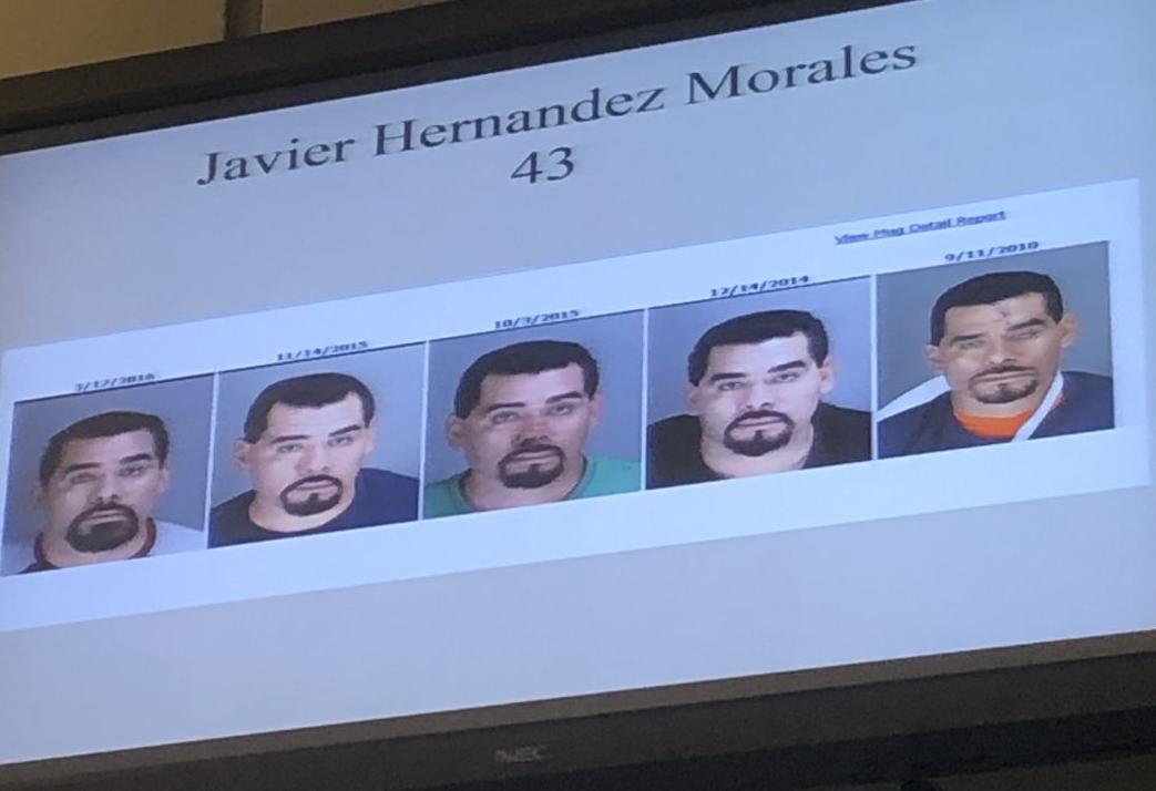 Hernandez Morales (copy)
