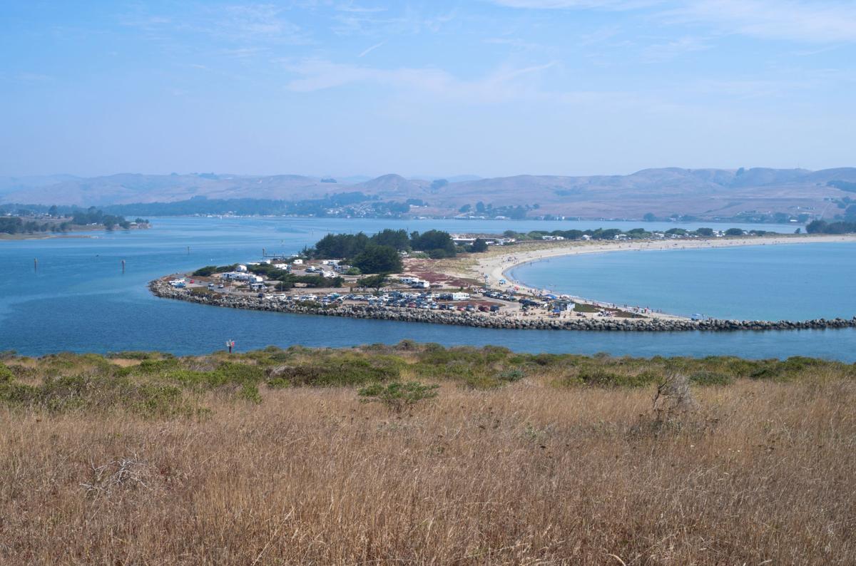 Foot In Shoe Washes Ashore At Doran Regional Park California News Napavalleyregister Com
