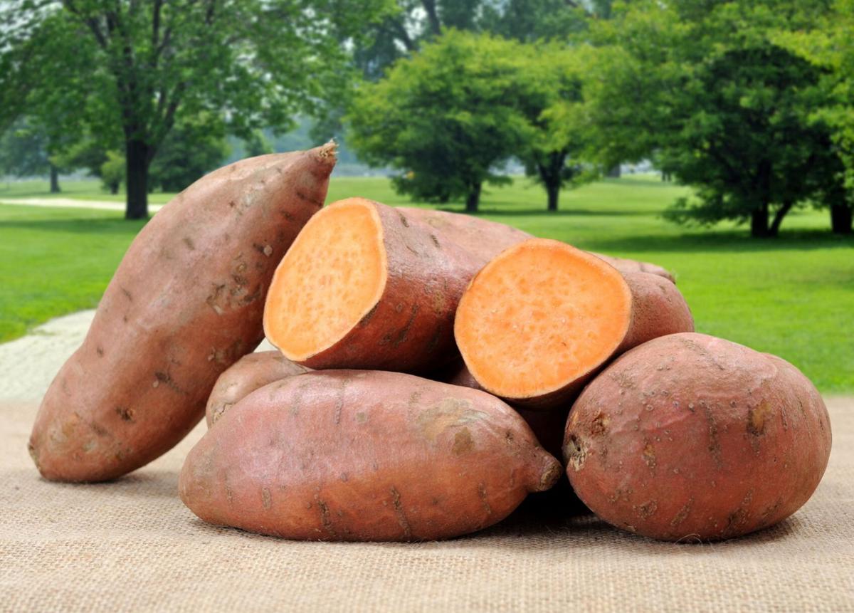 Sweet potatoes 2
