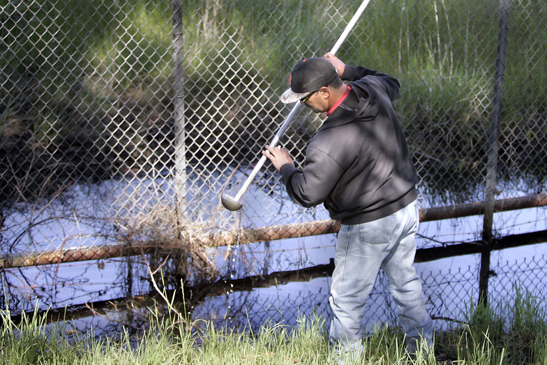 mosquito abatement