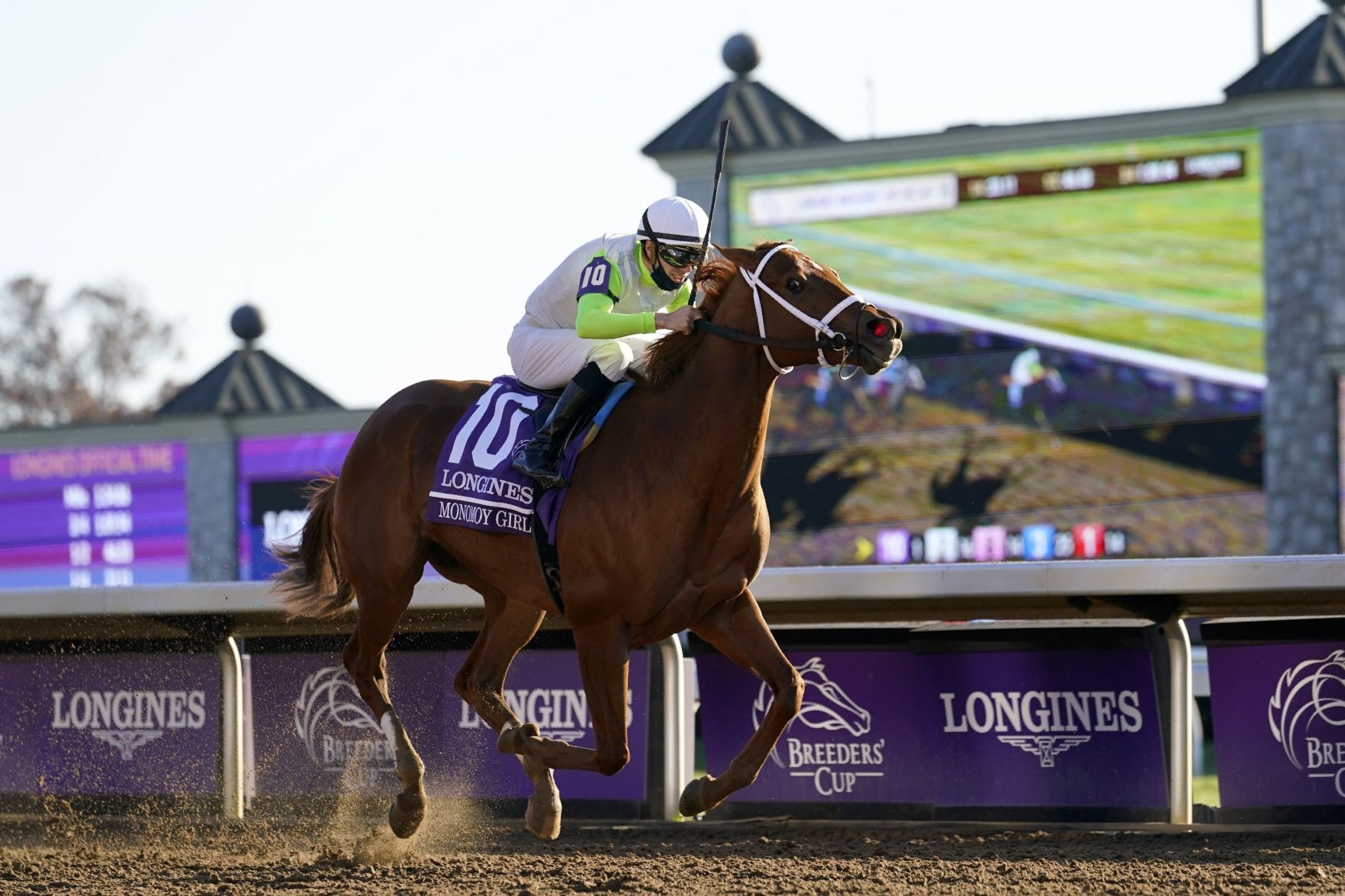 Horse Racing Monomoy Girl wins Breeders Cup Distaff at Keeneland