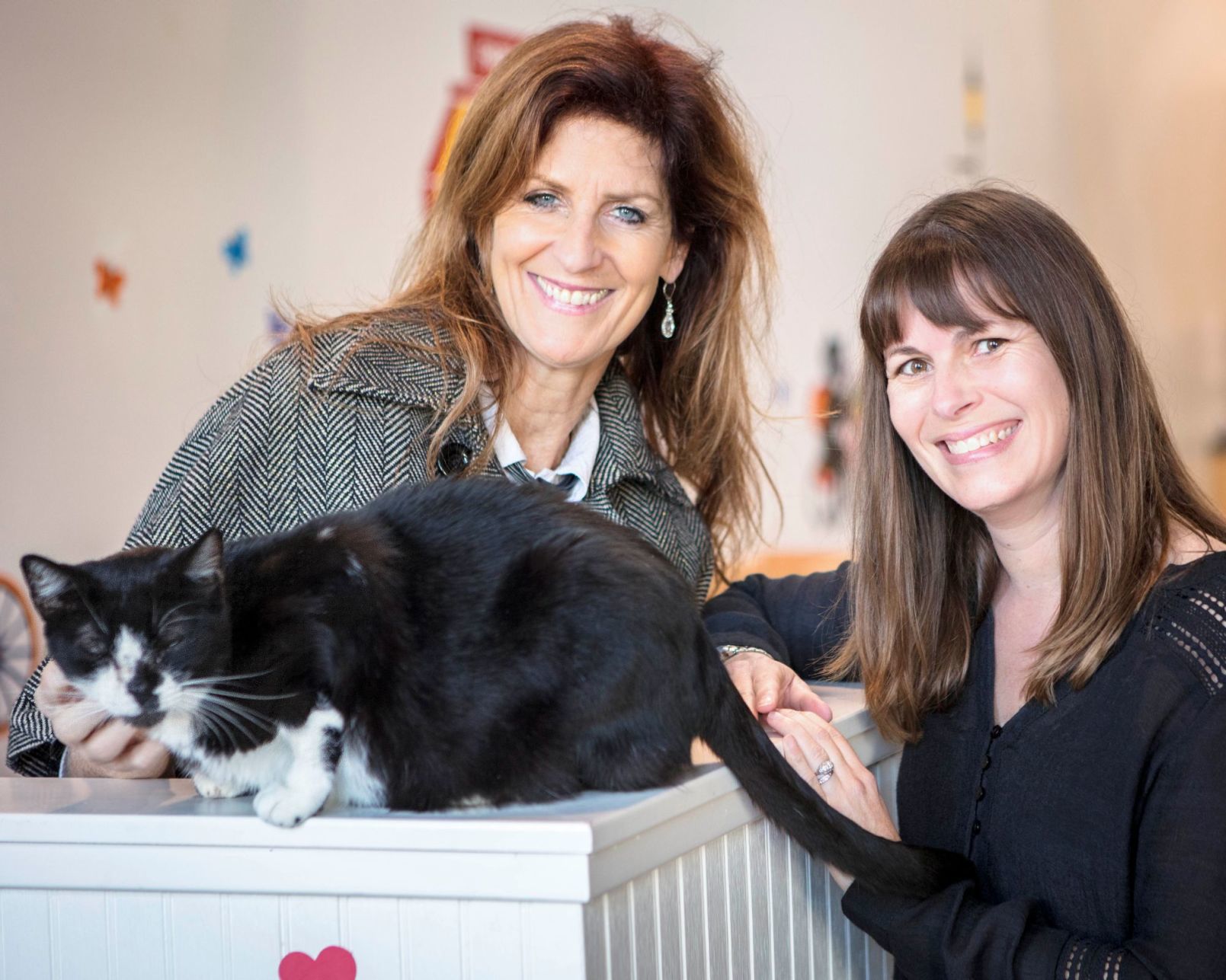 where can i get my female cat fixed for free