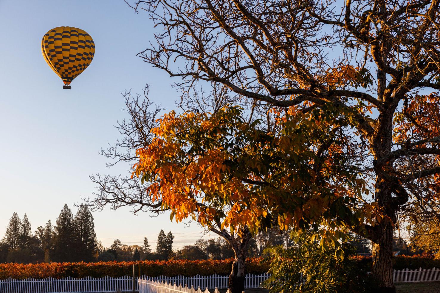 Napa's Balloons Above the Valley has new owner Jared Kimball