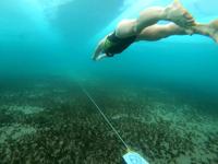 Russian woman who swam under Siberia's ice may have broken the world record