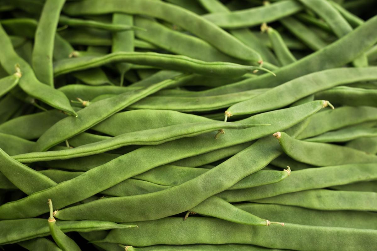 Romano beans