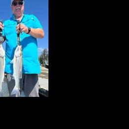 The Reel Life: Over 100 fish caught in 4 hours on Napa River
