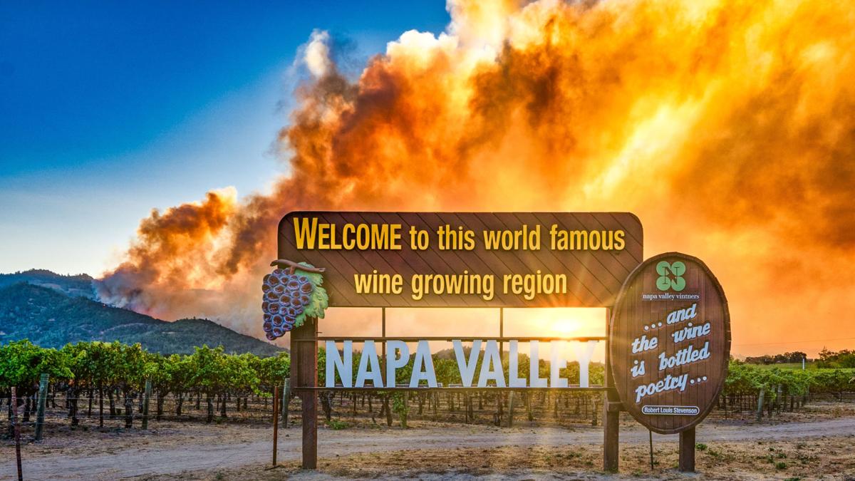No. 5 wine industry