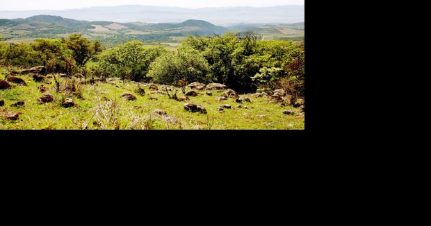 Legal battle fought over Napa Land Trust preserve access - Vimarsana News