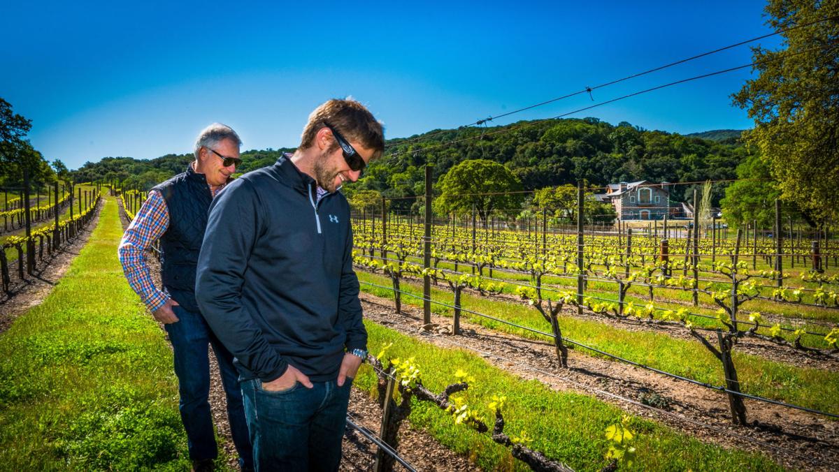 Napa Valley Harvest Report Growers Welcome Rainfall News Napavalleyregister Com