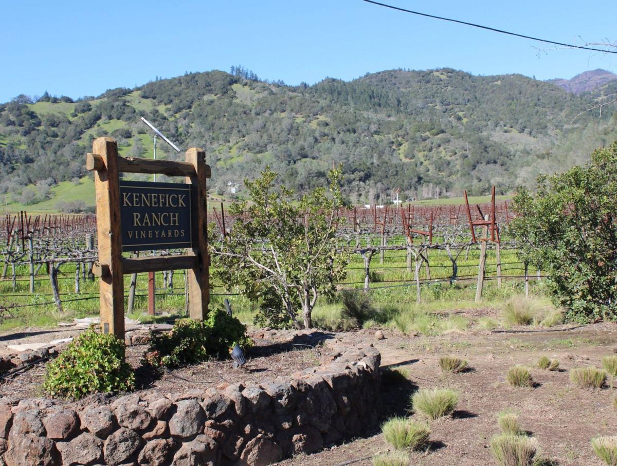 Napa County approves Kenefick Ranch winery near the Calistoga Palisades