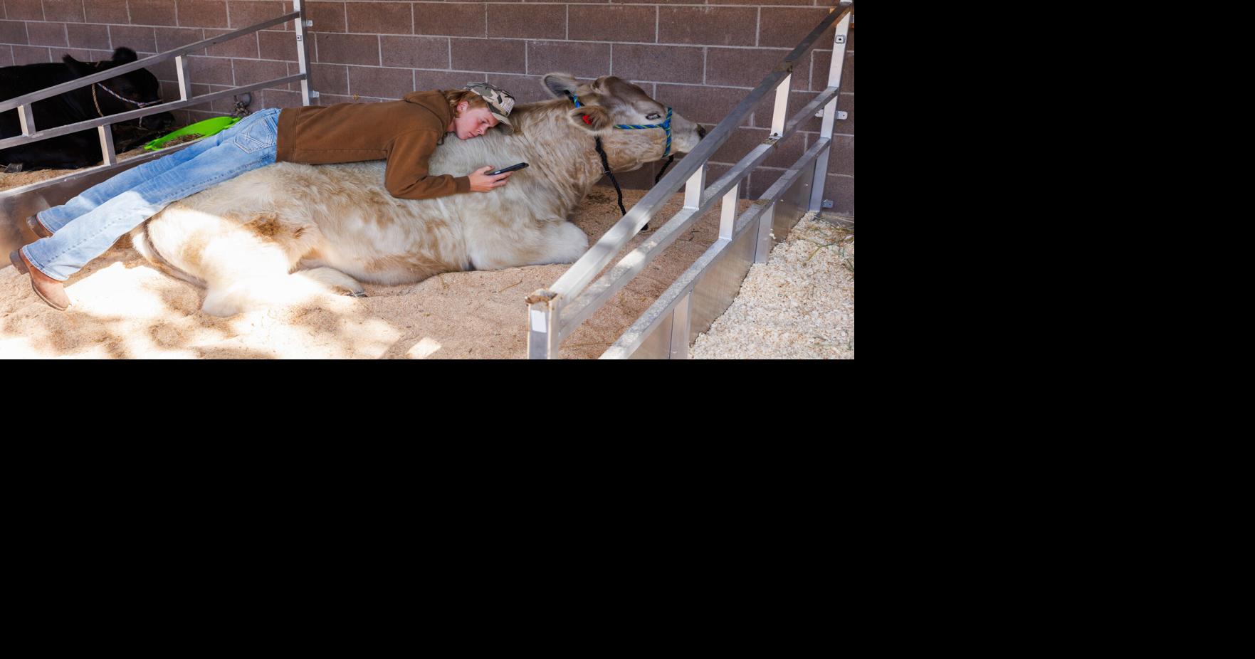 Showmanship