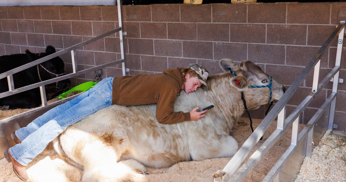 Showmanship
