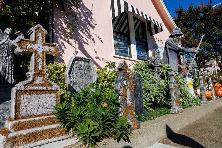 Frightful spooky Halloween scene adorns Napa tanning salon